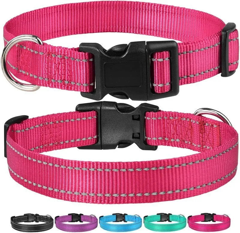 Adjustable nylon dog collar with chest strap in multiple colour options for secure walking