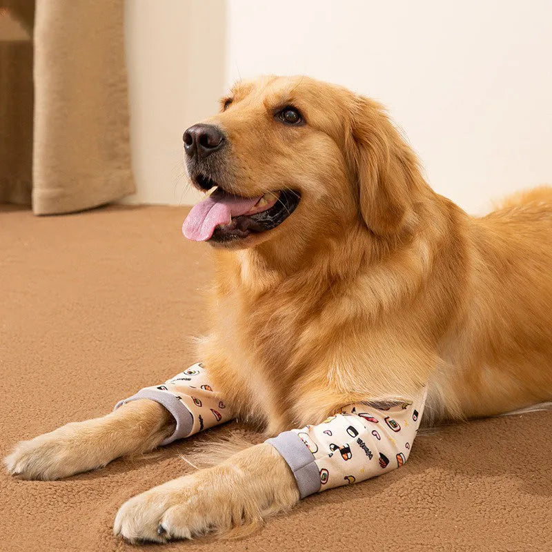 Blue dog knee protector sleeve with elbow padding and scarf on a medium-sized dog