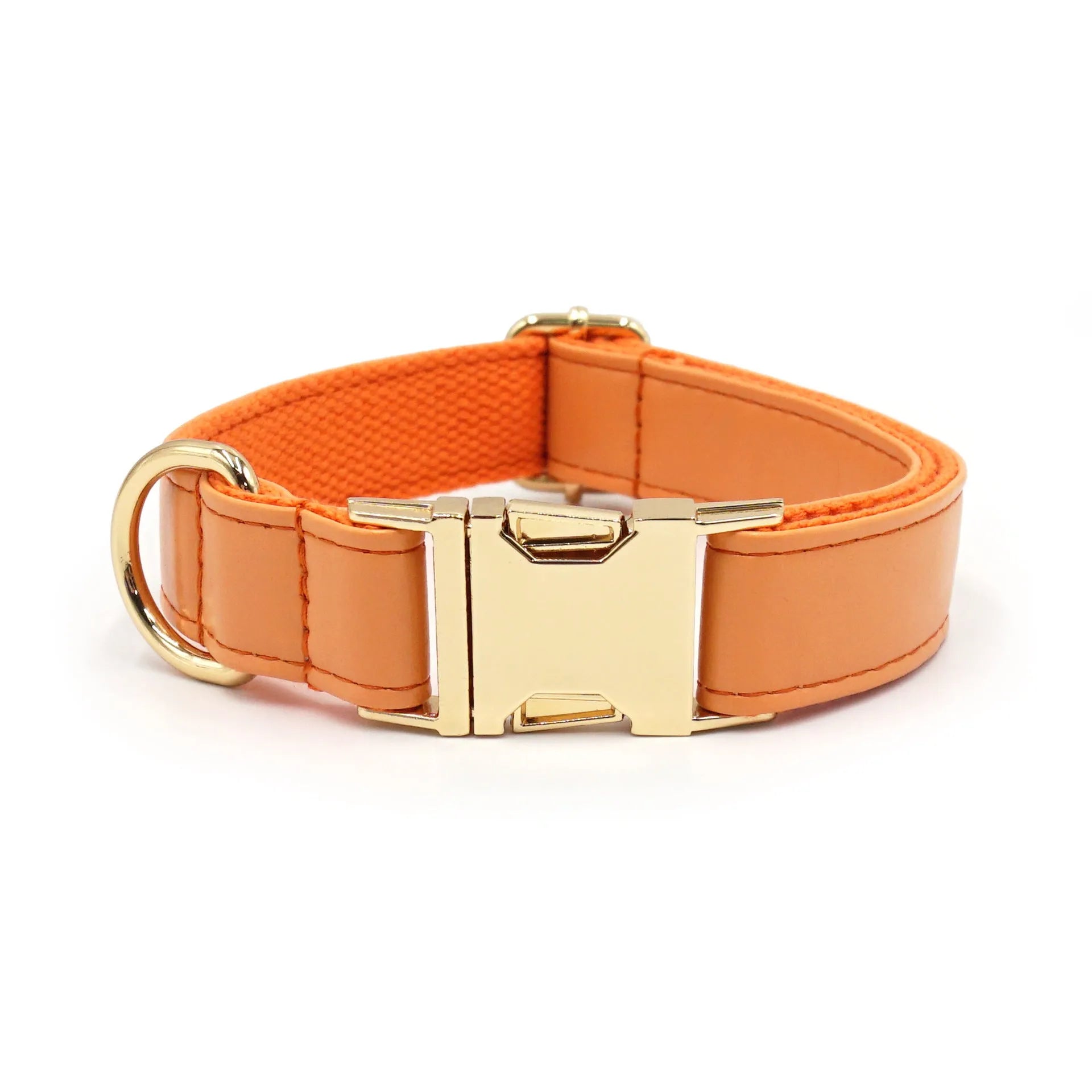 Velvet leather dog collar with colour block design showing buckle fastening in available colour options
