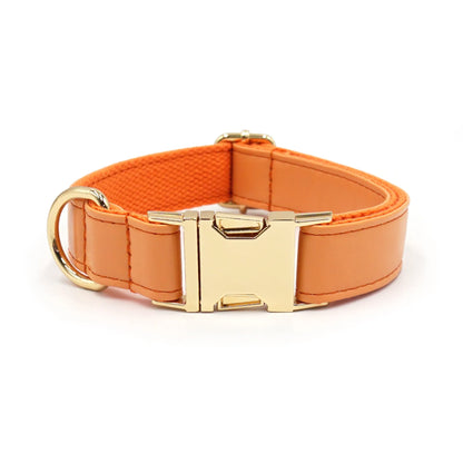 Velvet leather dog collar with colour block design showing buckle fastening in available colour options