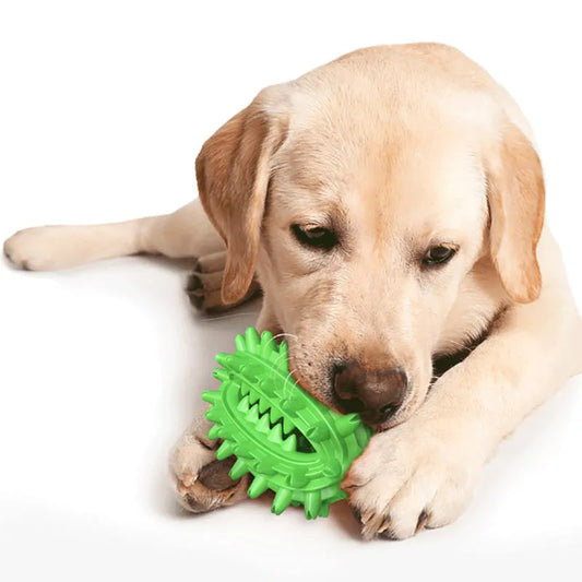 Green cactus-shaped dog toothbrush toy for dental cleaning, with bumps and central channel, on white background