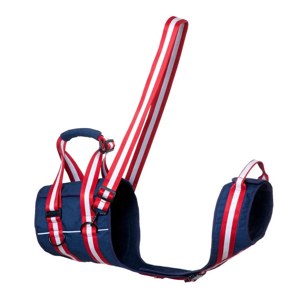 Blue nylon dog harness with adjustable straps and quick-release buckles for elderly pets