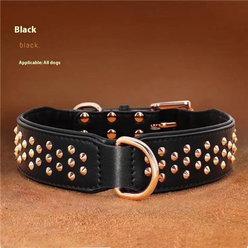 Leather dog collar with metal rivets in chocolate colour, showing rivet spacing and buckle detail