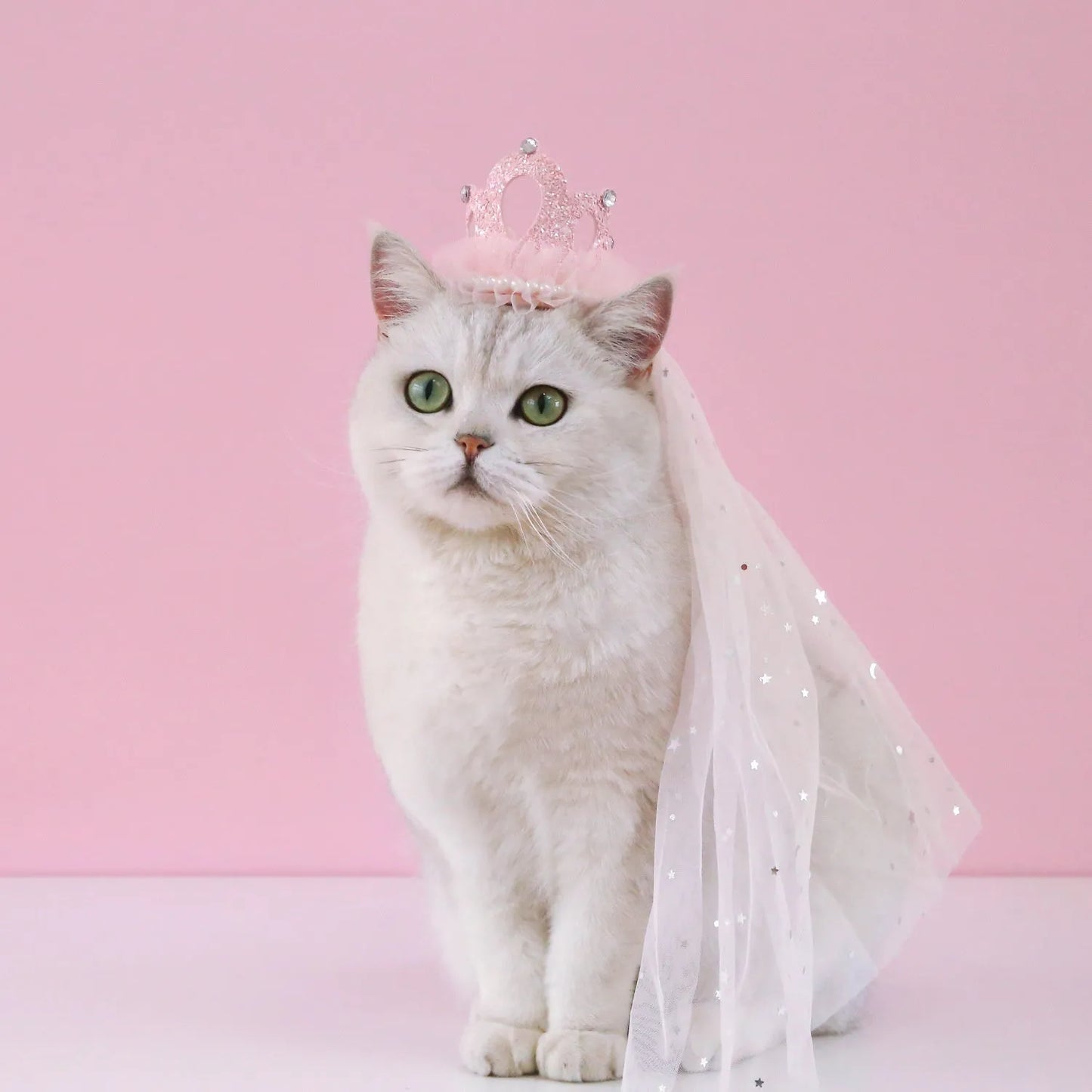 Cat wearing a princess crown headdress with a choice of beige or pink veil