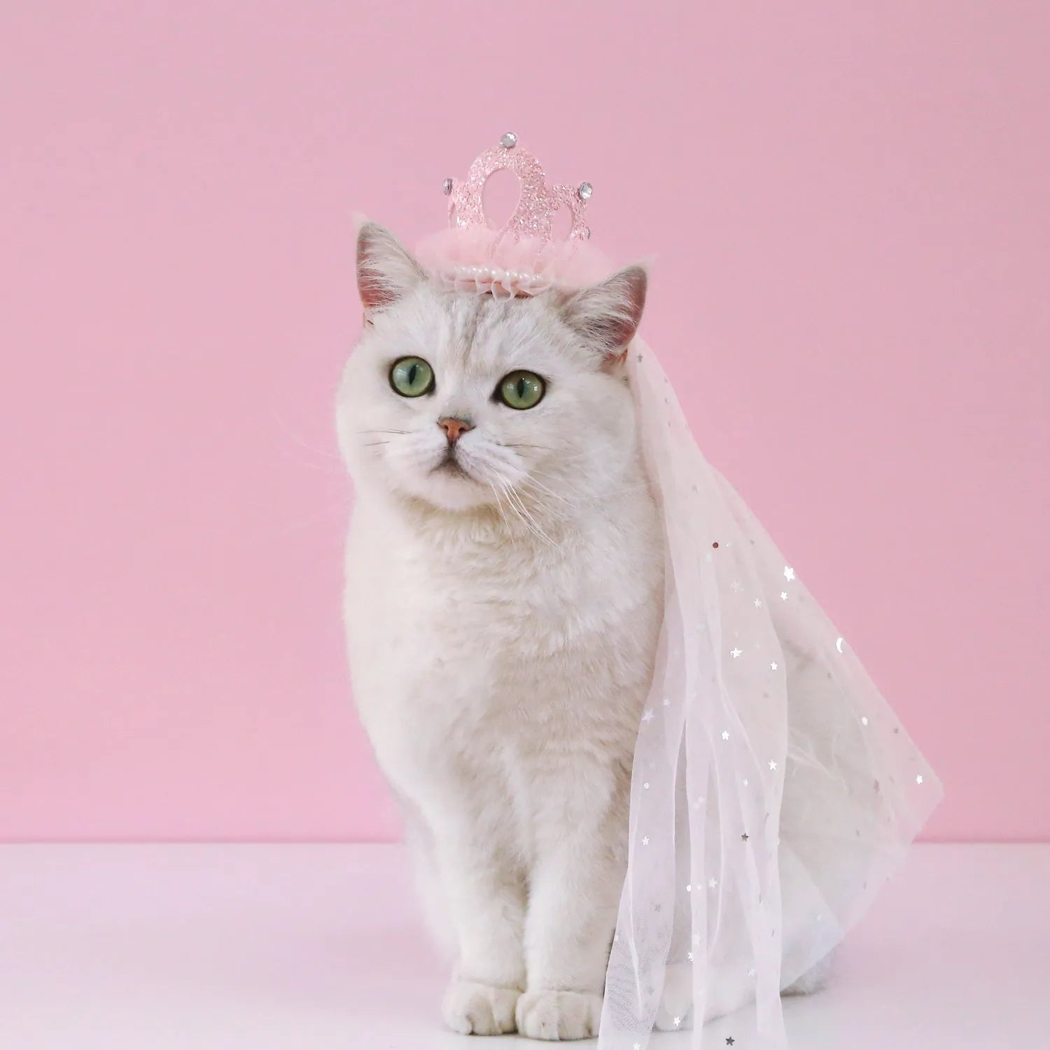 Cat wearing a princess crown headdress with a choice of beige or pink veil