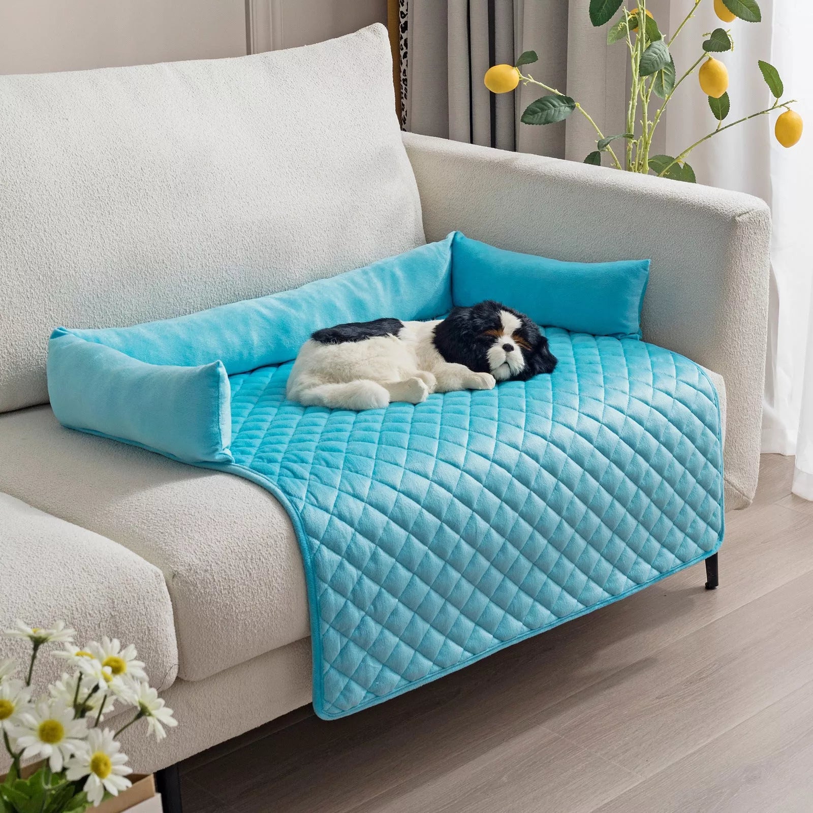 Curved design pet sofa bed for large dogs with removable plush cushion