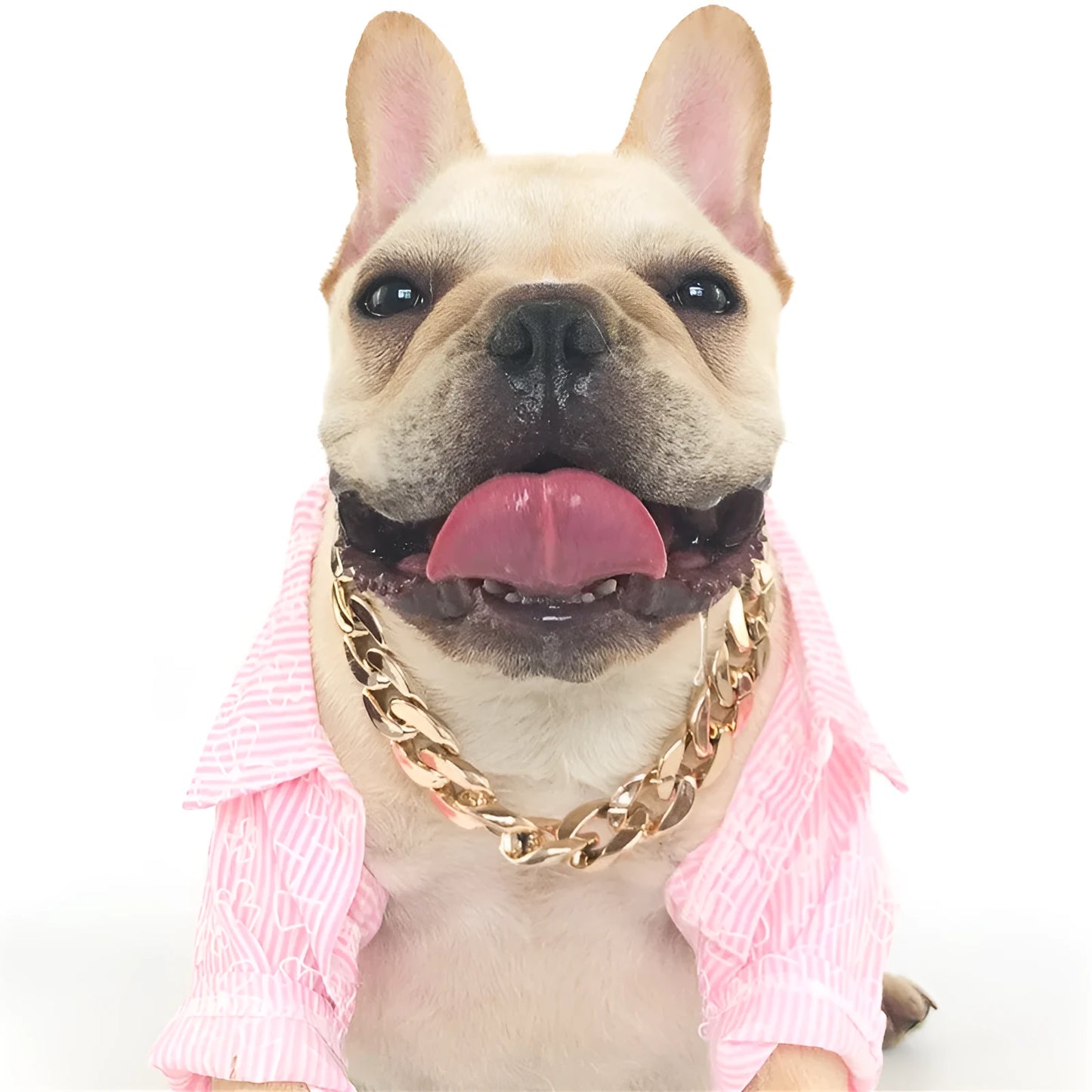 Gold colour chain style dog collar adjustable from 21cm to 50cm circumference for small medium dogs