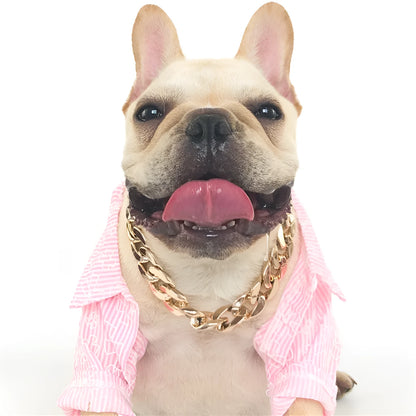 Gold colour chain style dog collar adjustable from 21cm to 50cm circumference for small medium dogs