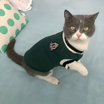 Cat wearing winter jumper with silver gradual collar in college style design