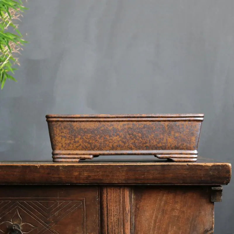 Purple sand rectangular bonsai pot with five-line design and firewood burning texture, shown with pine bonsai