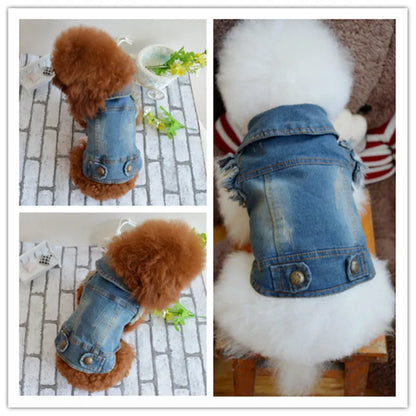 Dark denim dog vest with retro scratch pattern and button front closure on a small white dog.