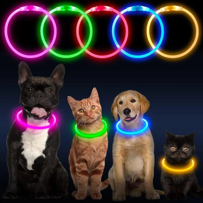 USB-rechargeable LED dog collar with blue glow, adjustable 70cm length, and three flash modes for pet safety.