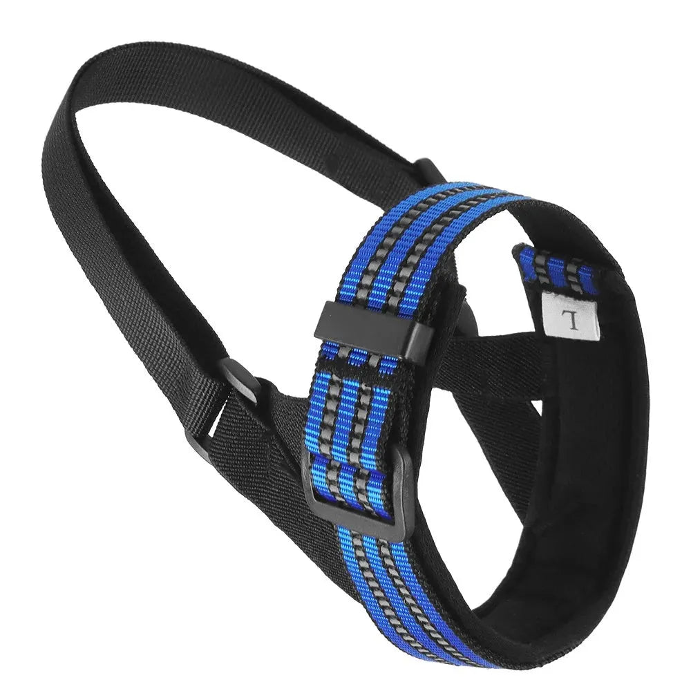 Adjustable black basket dog muzzle with reflective strips on a medium-sized dog