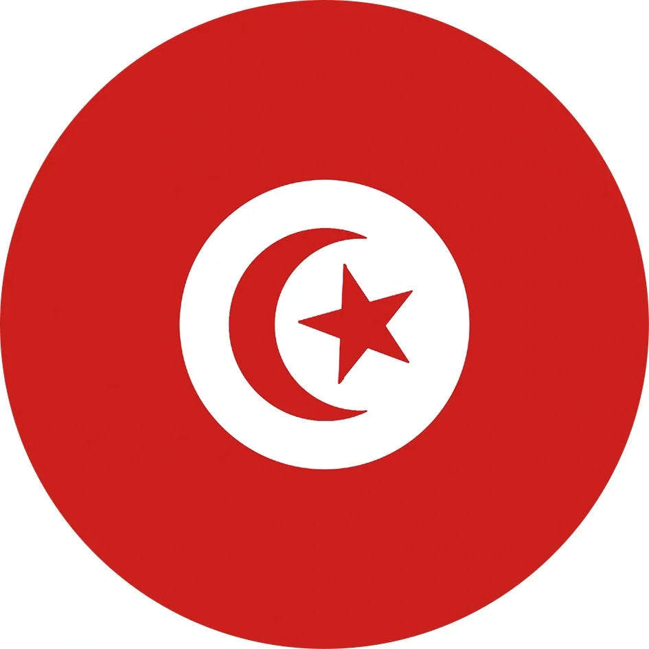 World Cup Qatar football themed biodegradable dishwashing sponges with national flag designs