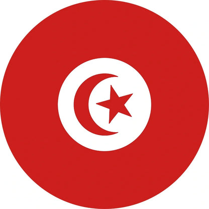 World Cup Qatar football themed biodegradable dishwashing sponges with national flag designs