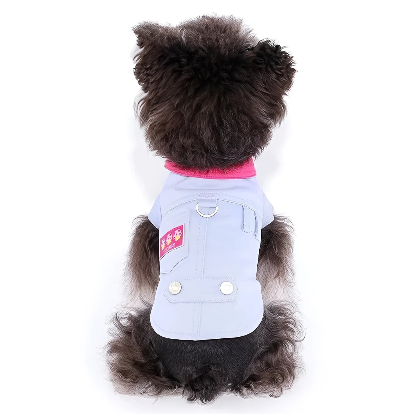Blue and purple polyester dog vest with traction rope ring for small dogs in various sizes