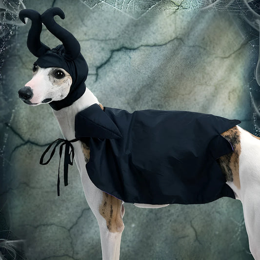Black polyester Halloween dog cloak and hat set, universal size pet costume