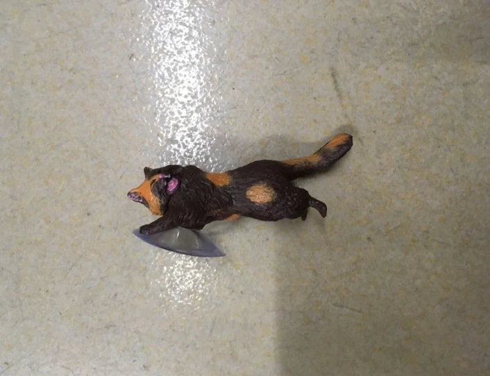 Silicone mobile phone holder with 6CM adhesive ring in multiple colors