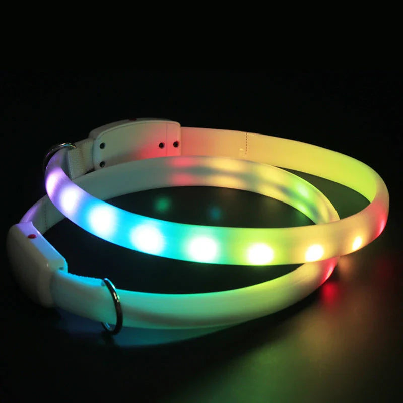 Hhomeenjoy Bright LED Pet Collar - Rechargeable Safety for Nighttime Walkies