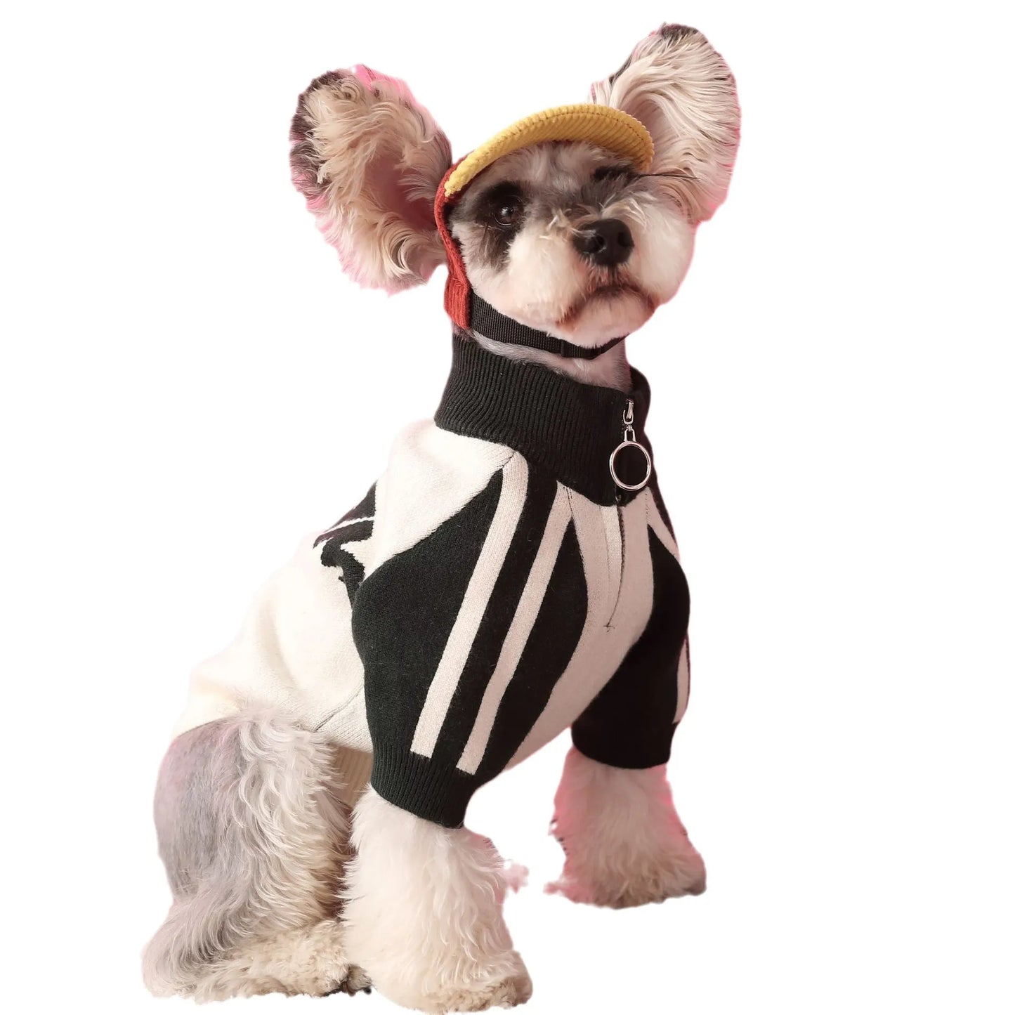 Red puppy dog sports sweater cardigan made from wool material for pet wear