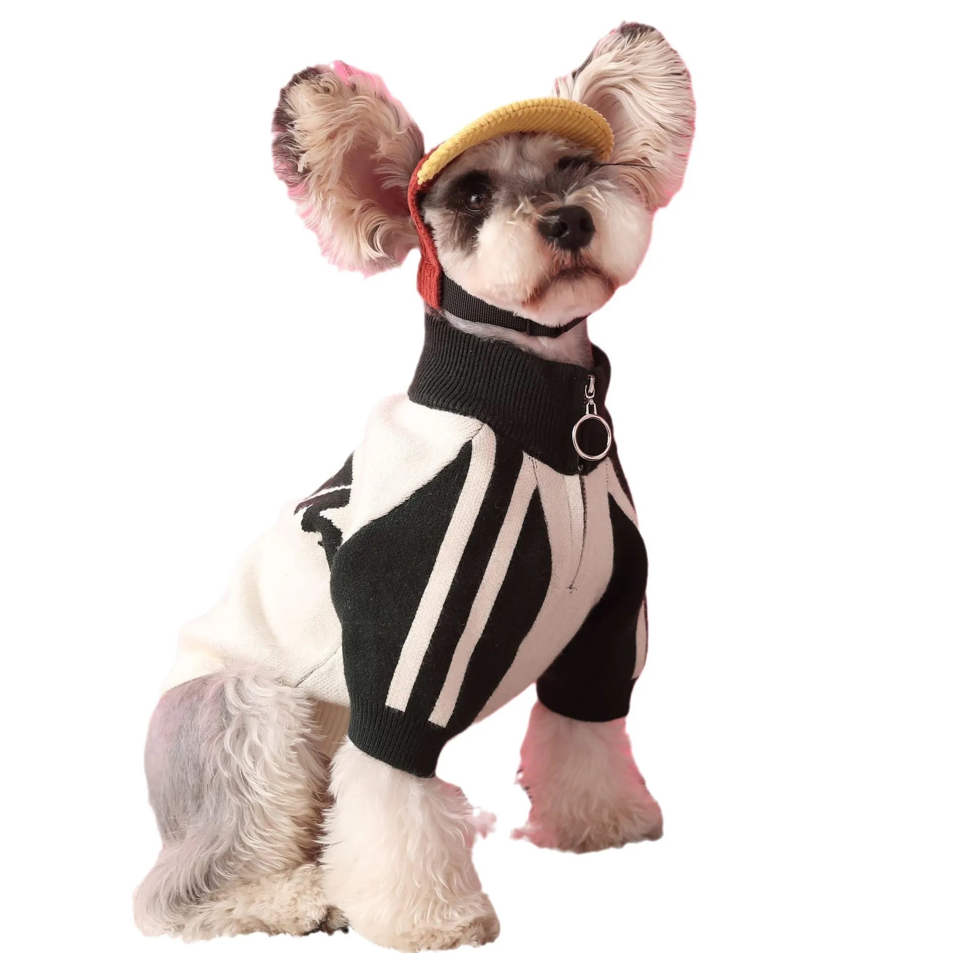 Red puppy dog sports sweater cardigan made from wool material for pet wear