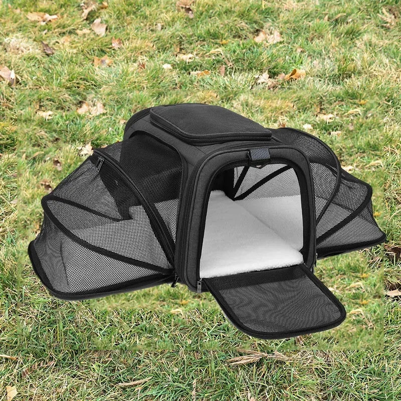 Black cat carrier bag made from 600D cation fabric with red piping trim.