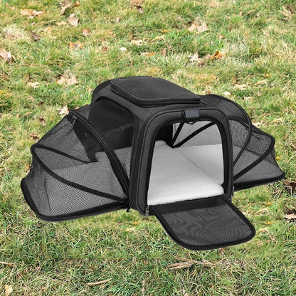 Black cat carrier bag made from 600D cation fabric with red piping trim.