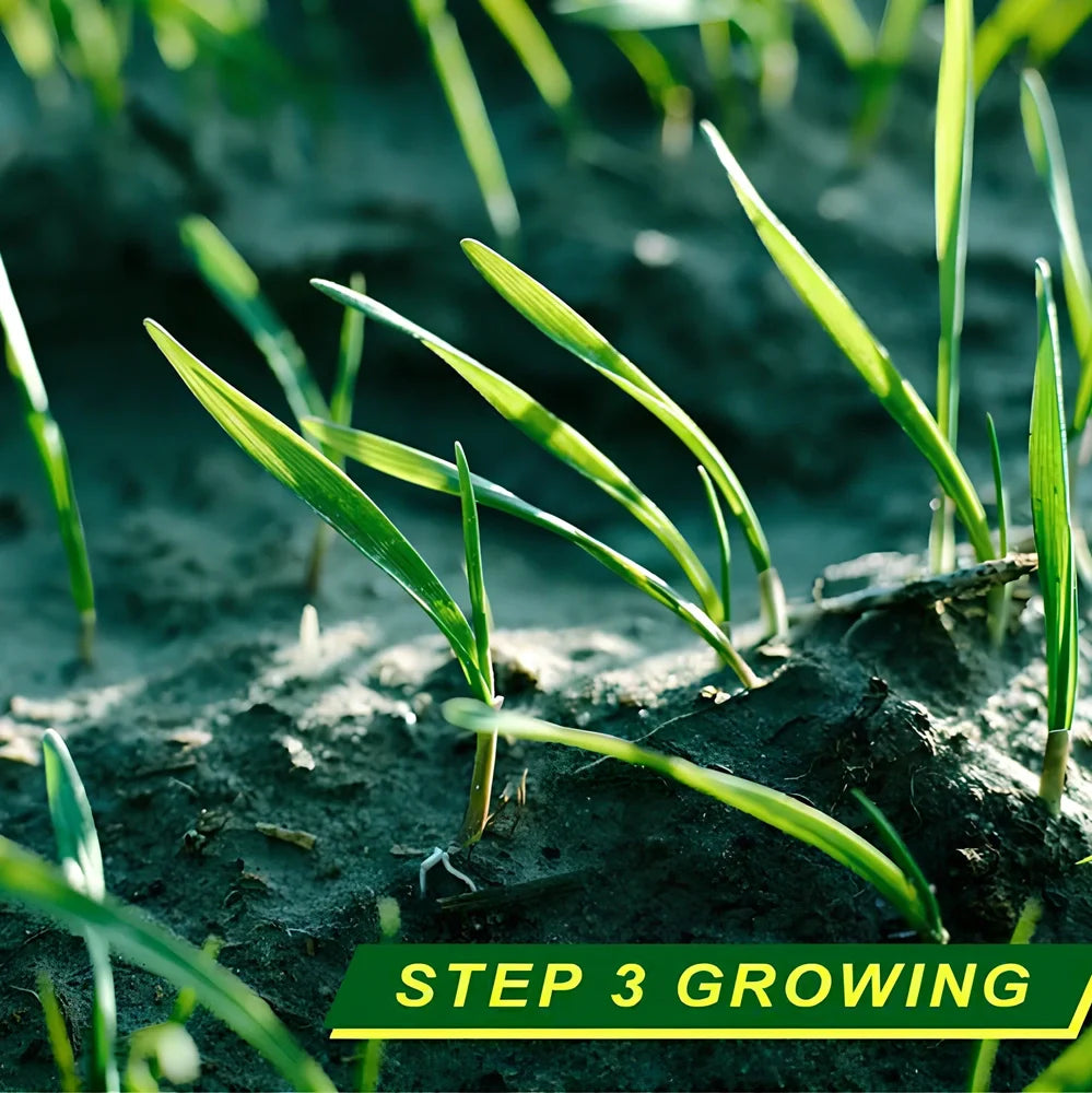 Biodegradable grass seed mat unrolled, 20cm x 300cm size, showing wind-proof fabric for soil consolidation and moisture retention in garden use