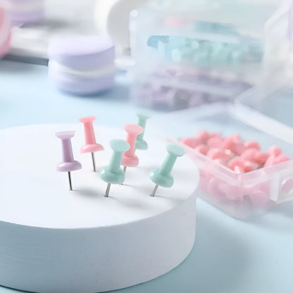 Macaron colour plastic push pins in cherry blossom pink, mint green and lavender, available in large and small sizes
