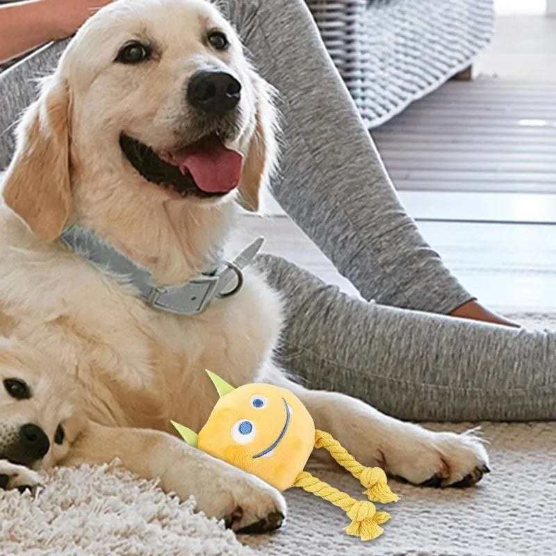 Blue or yellow dog squeaky toy with strong knot rope design for chewing and play