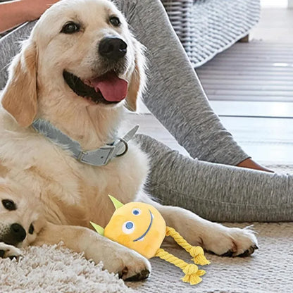 Blue or yellow dog squeaky toy with strong knot rope design for chewing and play