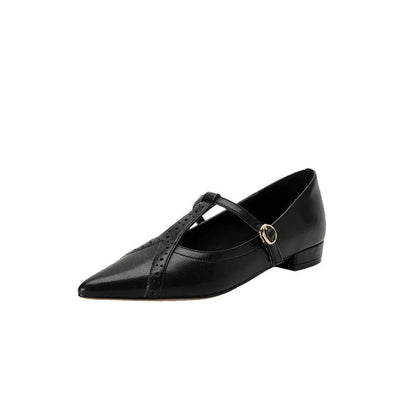 Brown pointed toe low-cut flat shoes for women with a soft sole and mid heel.