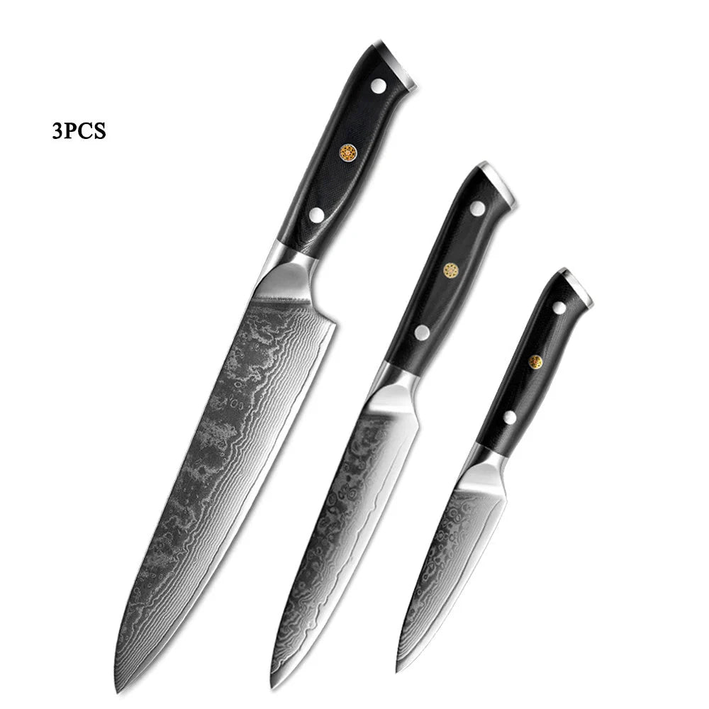 Japanese Damascus steel kitchen knife set with G10 handle, 67-layer blade