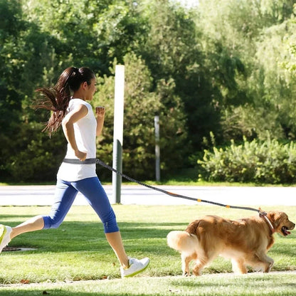 Adjustable fluorescent green nylon pet leash with sliding mechanism showing 150cm length