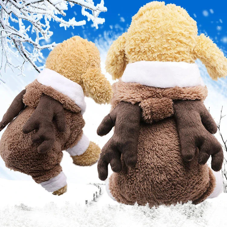 Cozy Canine Couture: Premium pet clothing collection featuring stylish and comfortable designs for your furry friend