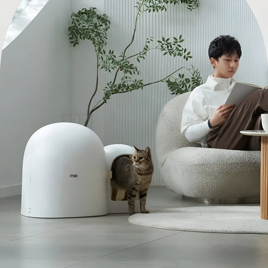 Oversized fully enclosed cat litter box in moss green, showing roof and entryway.