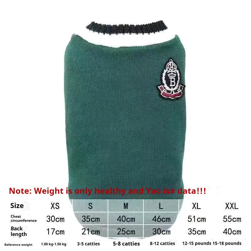Cat wearing winter jumper with silver gradual collar in college style design