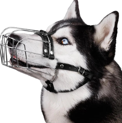Black metal dog mouth cover designed specifically for golden retrievers and German shepherds