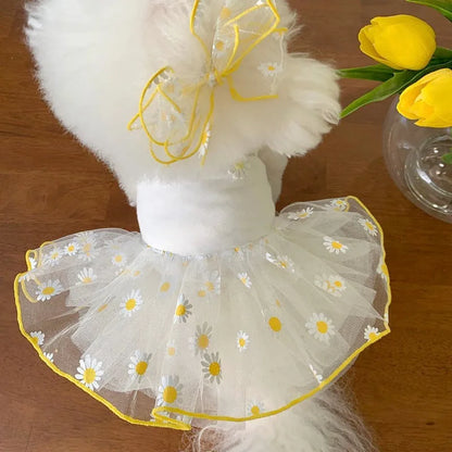 Yellow daisy patterned dog clothes made from thin polyester fabric for summer wear
