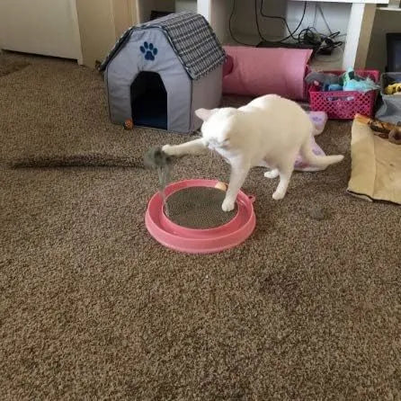 Interactive cat scratcher toy with replaceable scratch pad and ball track, measuring 40x40x4.5cm, to protect furniture and entertain cats for hours with a 579g weight.