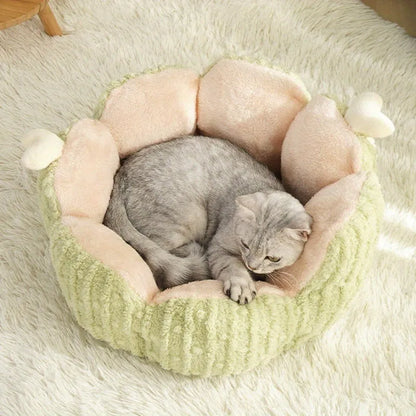 Green or purple cactus-shaped soft cat litter kennel pet bed on a floor