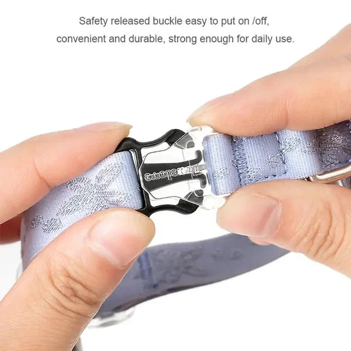 Adjustable Cat and Small Dog Collar in Purple, Soft and Lightweight Nylon Material with Elastic Strap for Easy Control