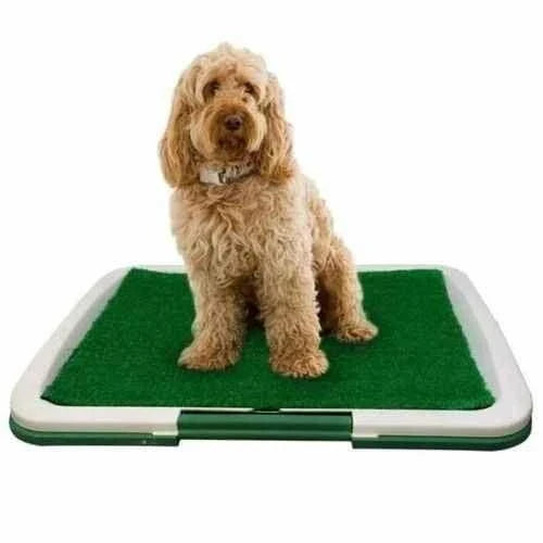 Indoor dog toilet training mat with realistic artificial grass surface and liquid-trapping design