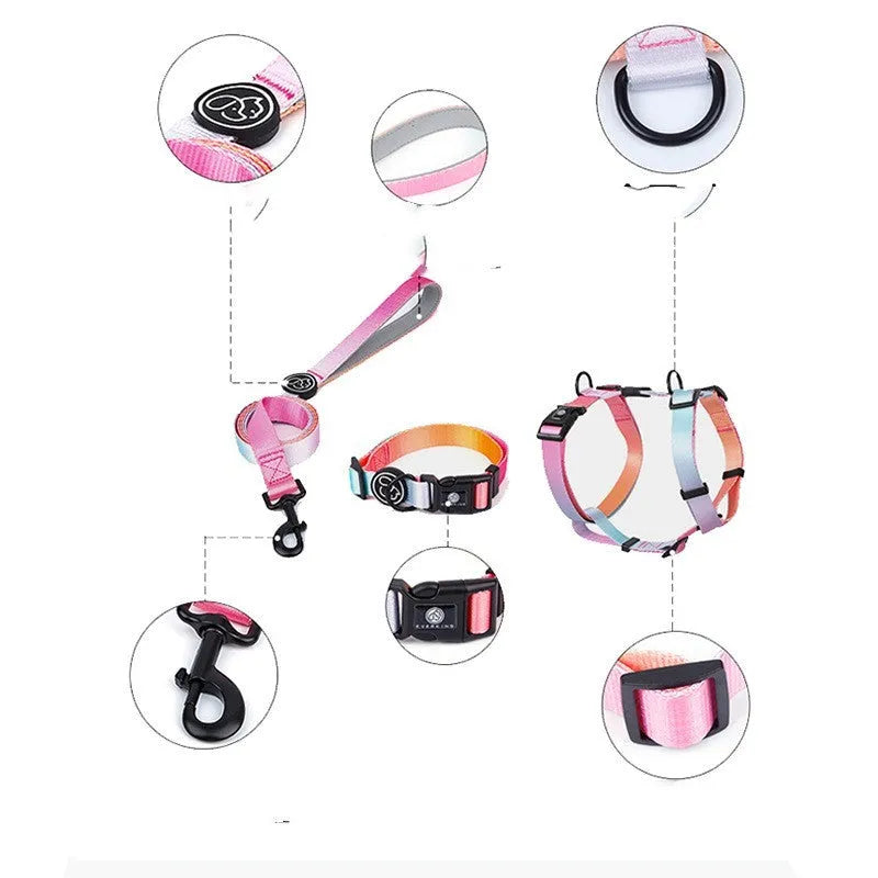 Polyester dog chest strap showing gradient colour pattern options in S, M, and L sizing