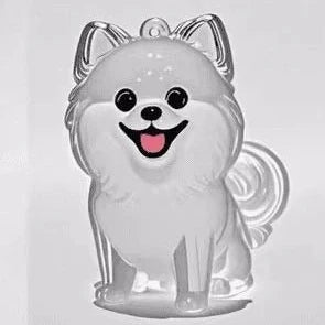 Transparent 10cm acrylic box with hanging cord for puppy fur keepsake storage