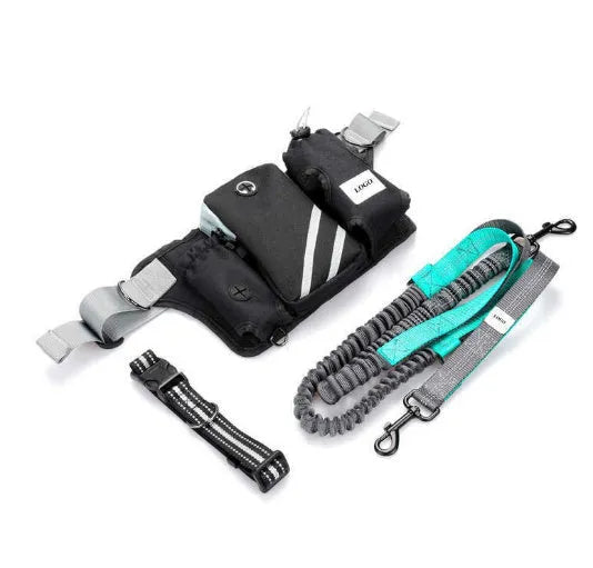 Black nylon outdoor pet training waist bag and dog leash set on waist