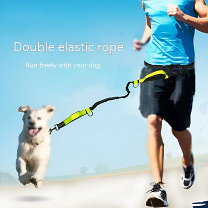Blue polyester multifunctional dog walking belt and retractable leash shown on a person's waist.