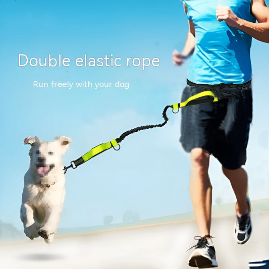 Blue polyester multifunctional dog walking belt and retractable leash shown on a person's waist.