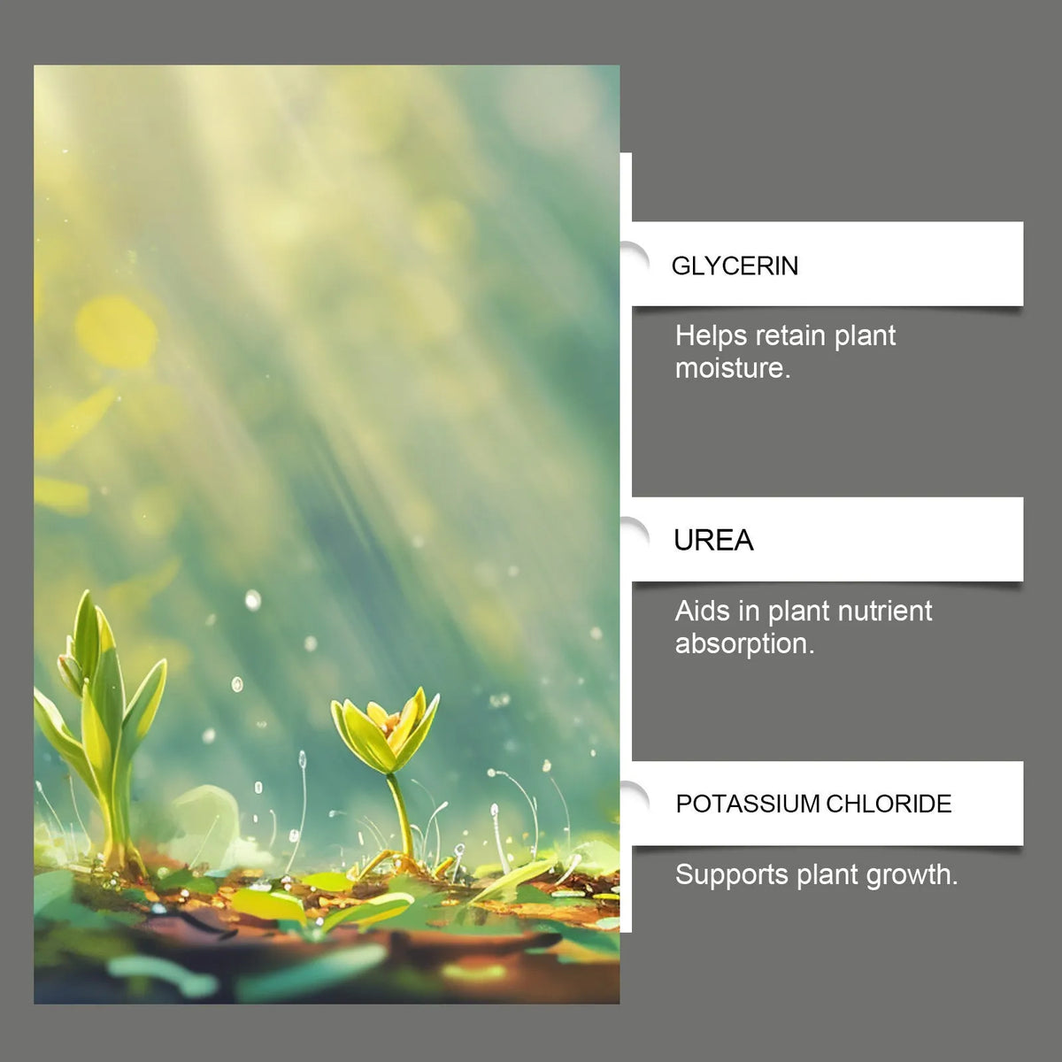 120ml plant nutrition spray bottle with liquid feed containing urea and potassium chloride
