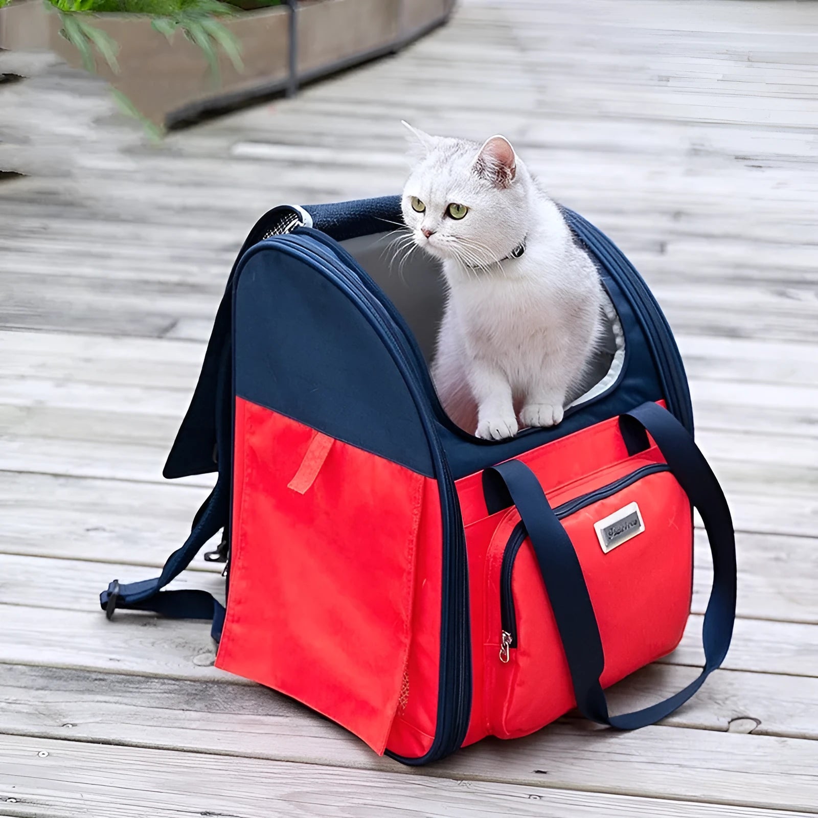 Pet backpack for dogs and cats up to 10kg with dimensions 30cm x 34.5cm x 41cm in black colour
